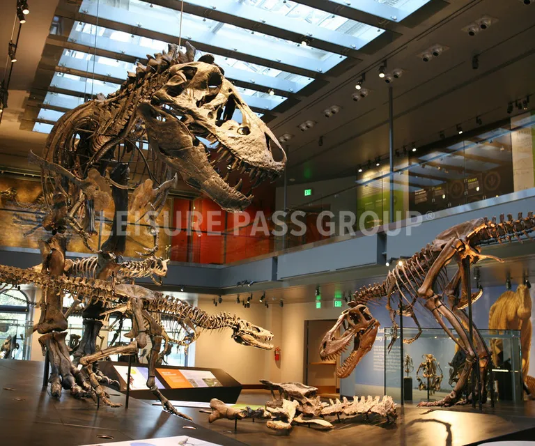 Experience image 5