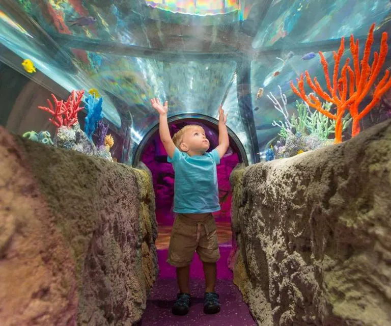 Experience image 10