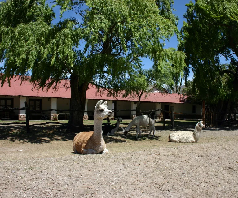 Experience image 3