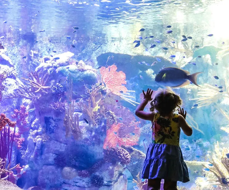 Experience image 15
