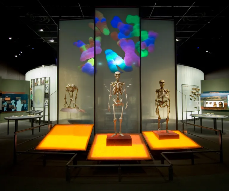 Experience image 6