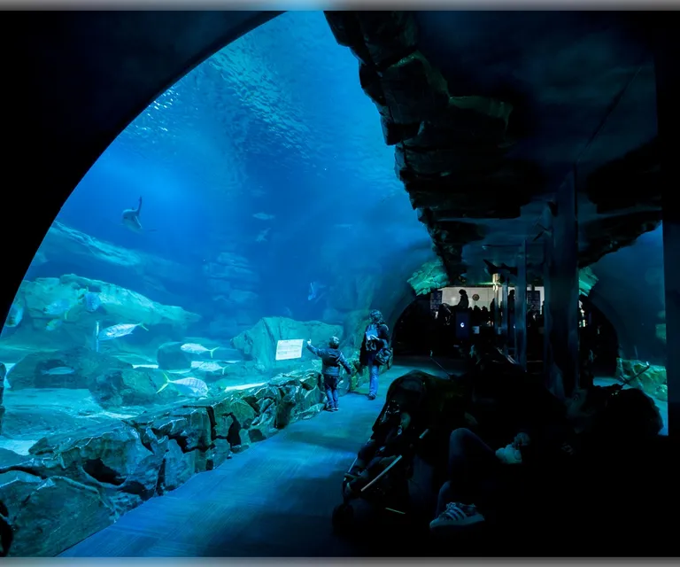 Experience image 19