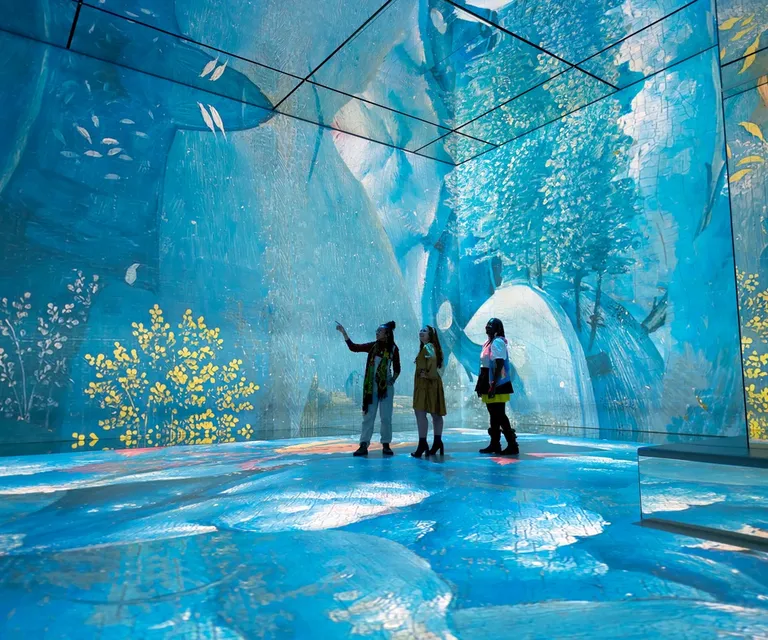 Experience image 25