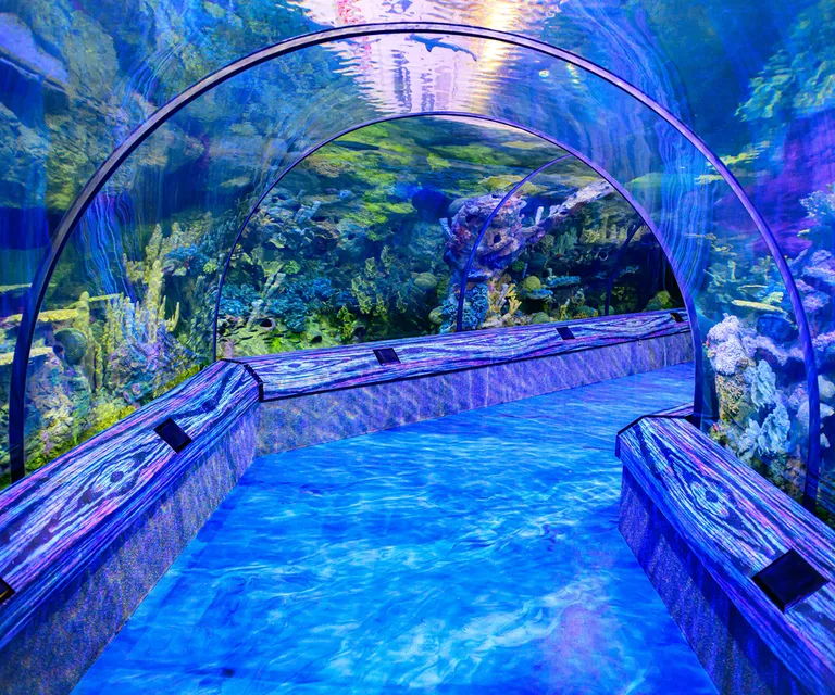 Experience image 14