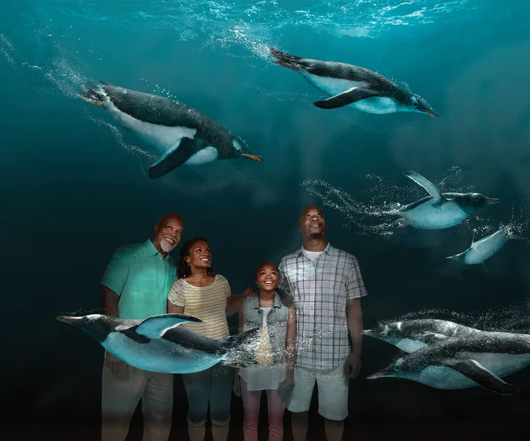 Experience image 21