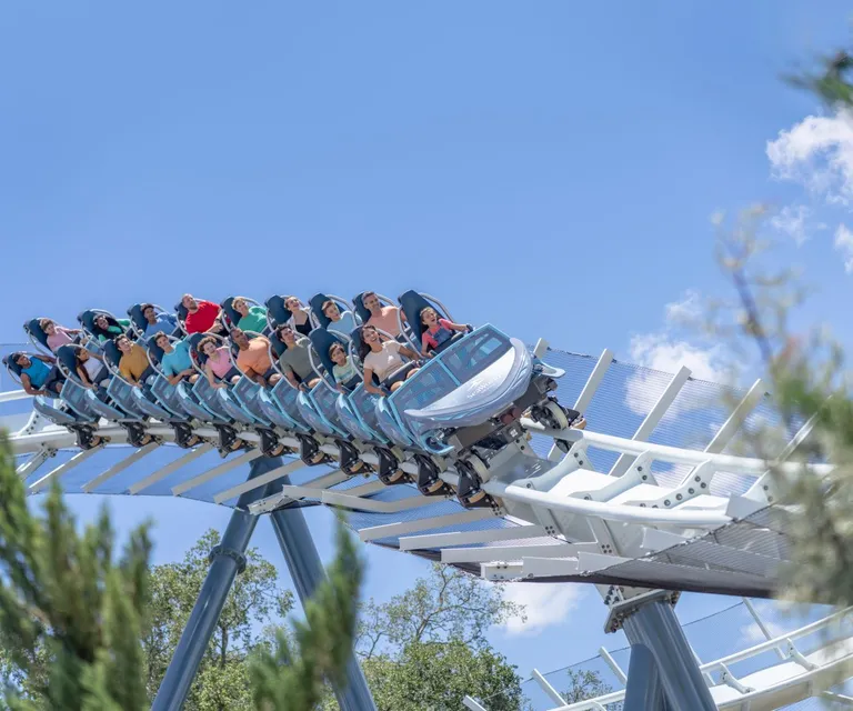 Experience image 38