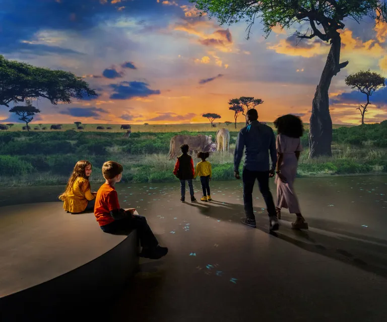 Experience image 12