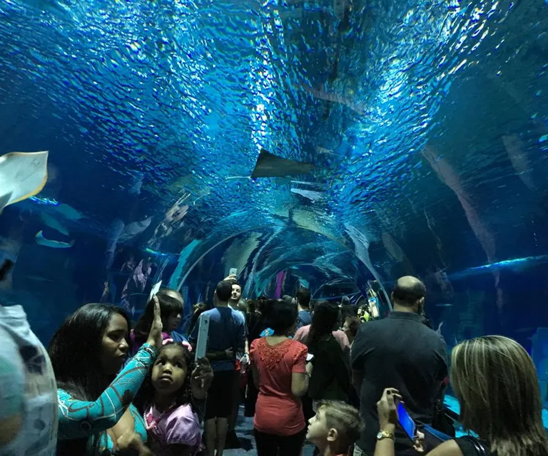 Experience image 2