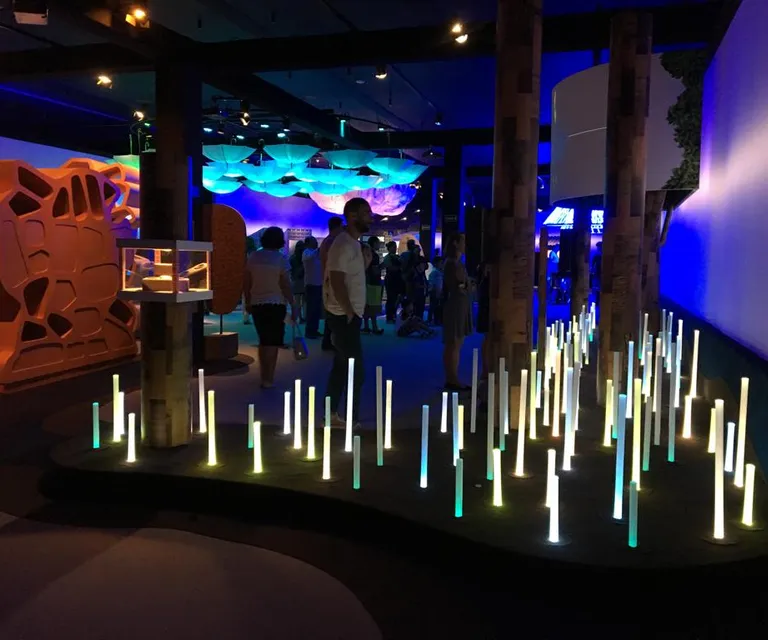 Experience image 4