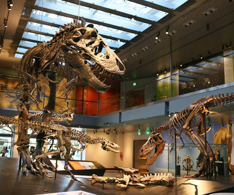 Experience image 8