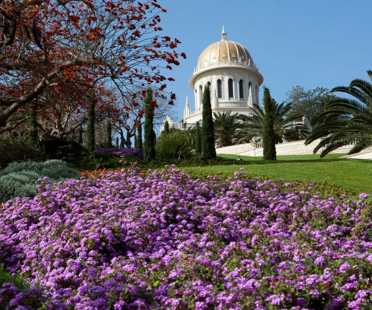 Experience image 11