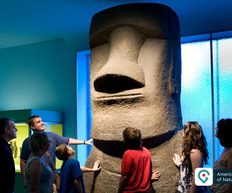 Experience image 18