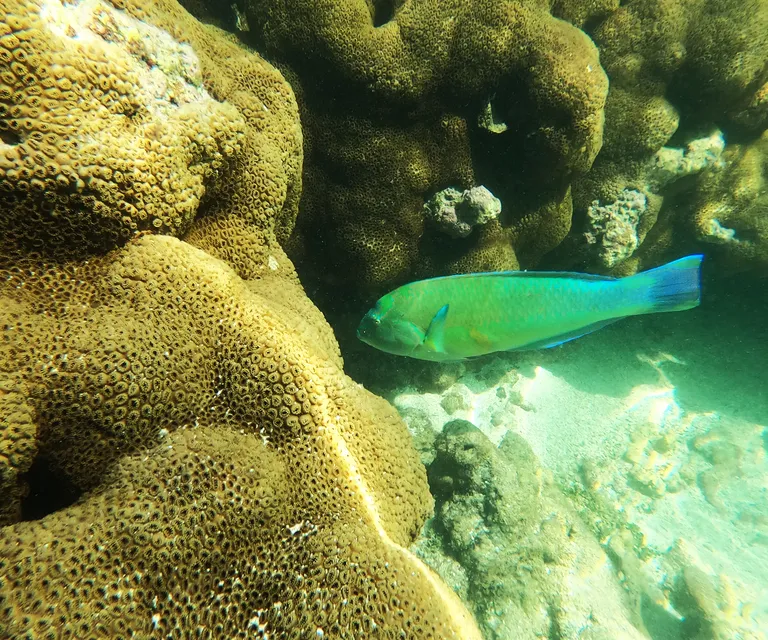 Experience image 15