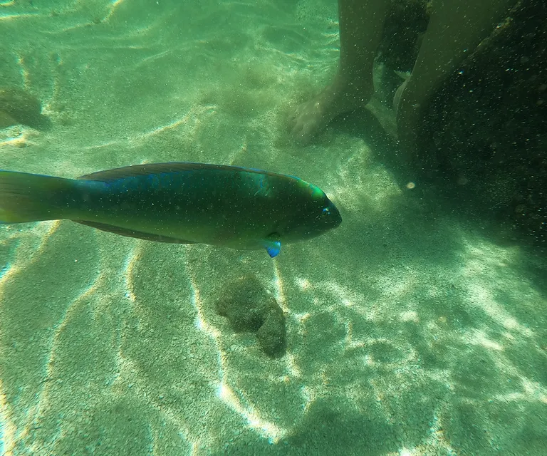 Experience image 14