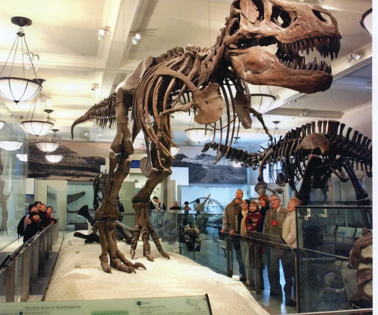 Experience image 10