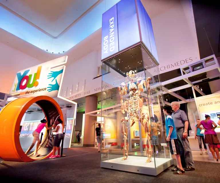 Experience image 12