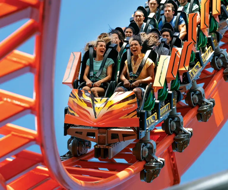Experience image 14