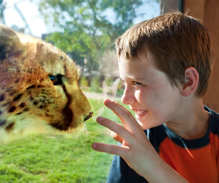 Experience image 17