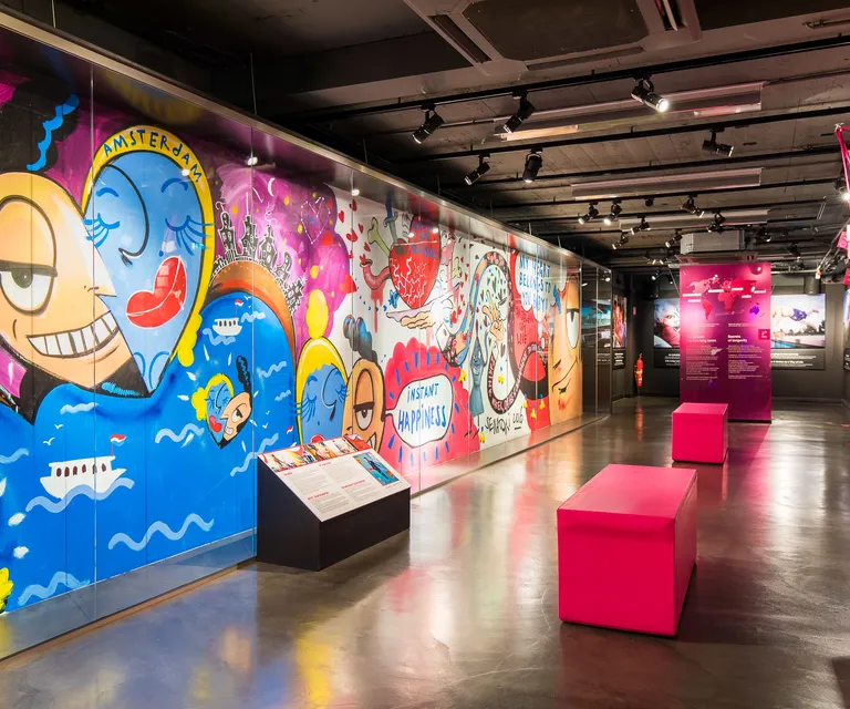 Experience image 11