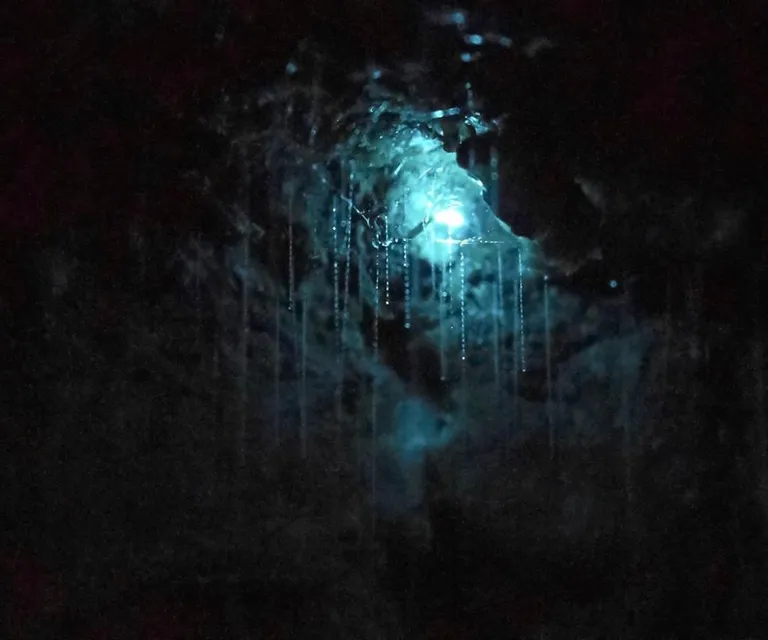 Experience image 4