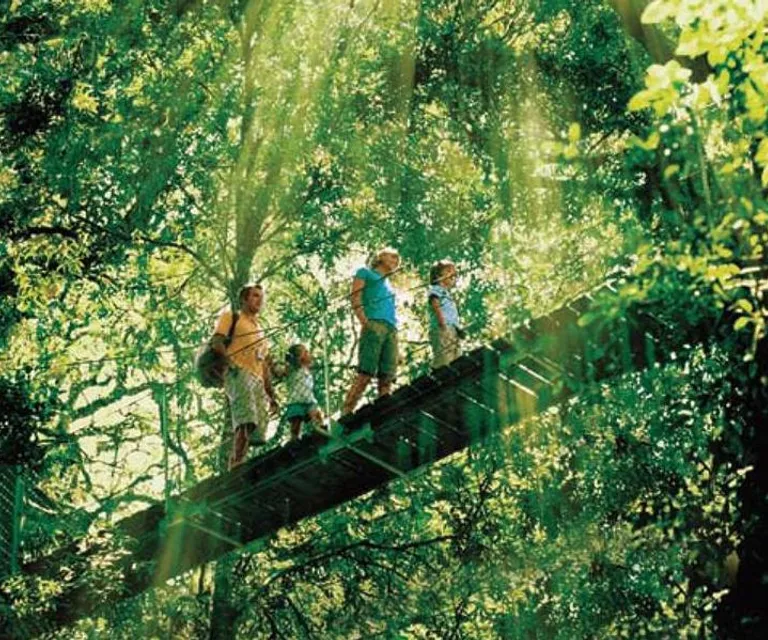 Experience image 3
