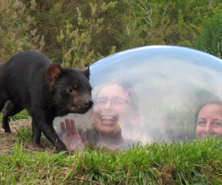 Experience image 1