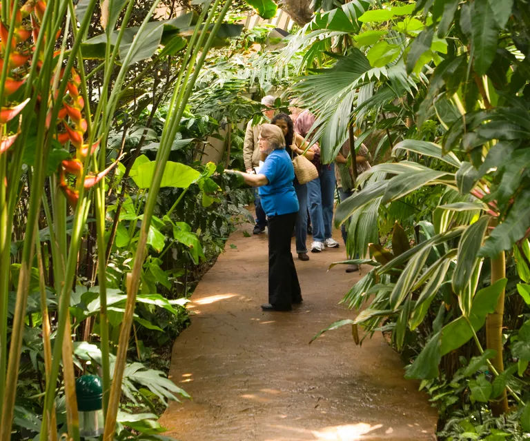 Experience image 14