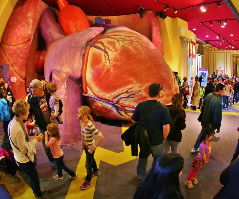 Experience image 14