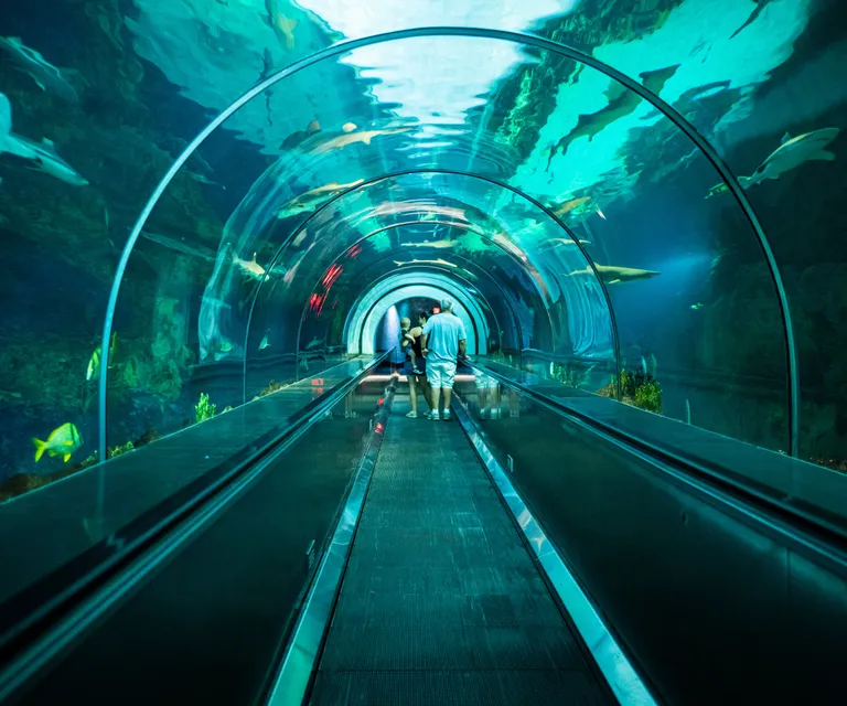 Experience image 8