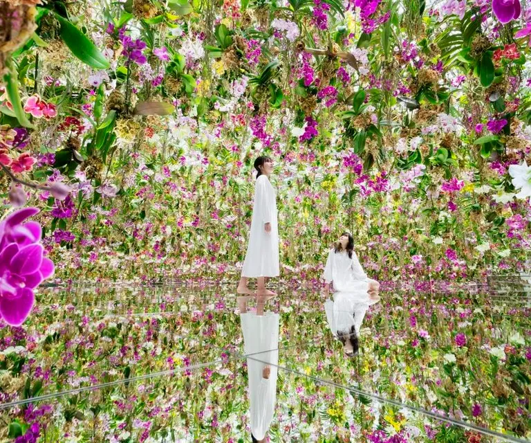Experience image 1
