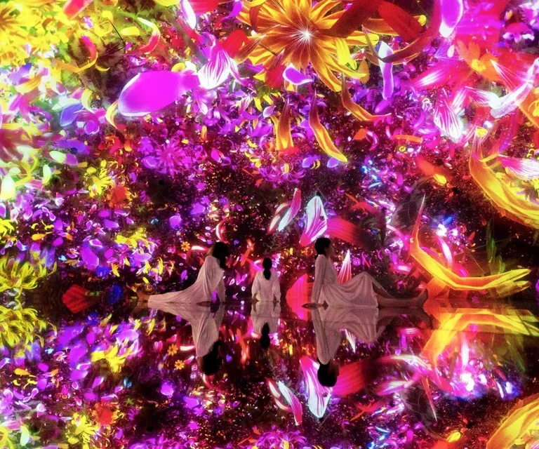 Experience image 6