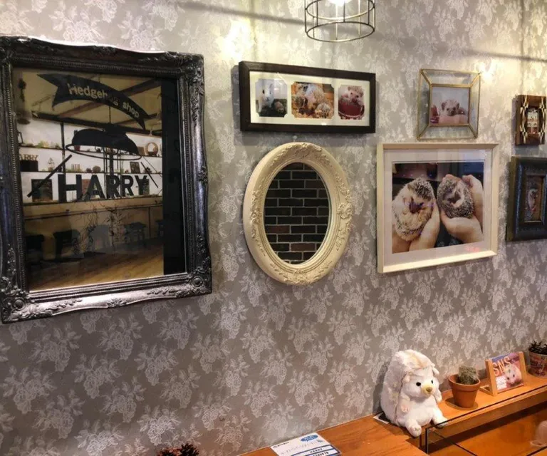 Experience image 10