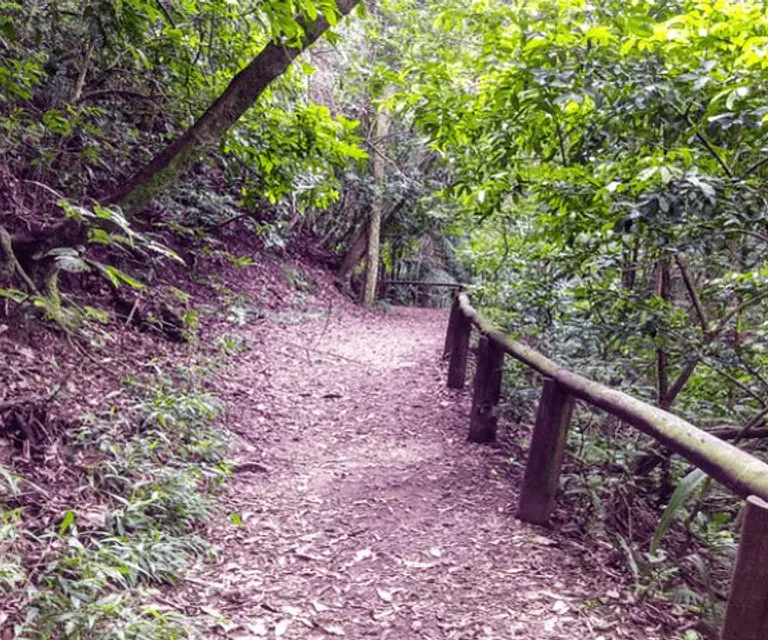 Experience image 11