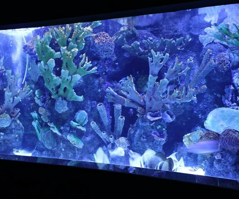 Experience image 6