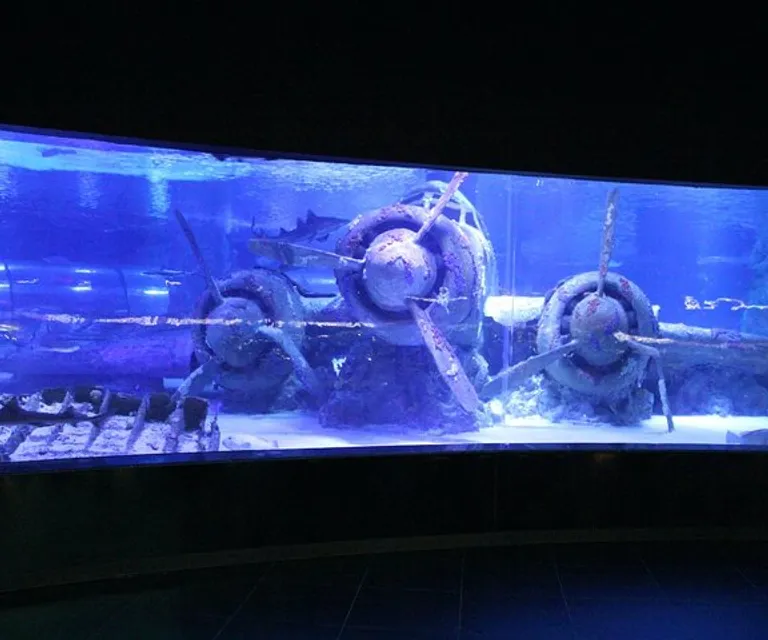 Experience image 8