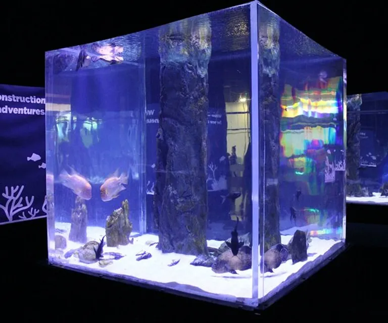 Experience image 9