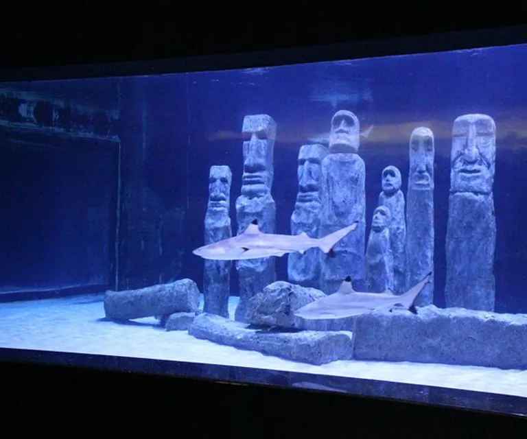 Experience image 10