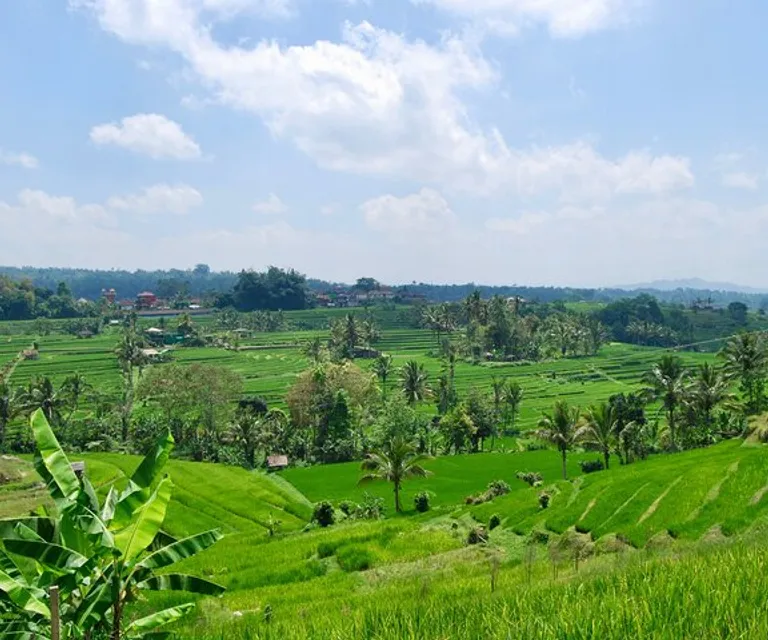 Experience image 4