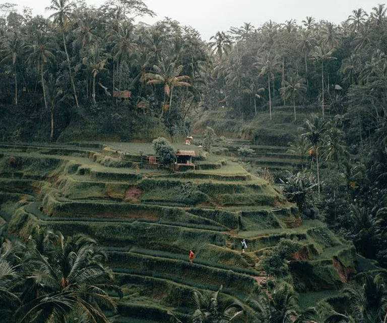 Experience image 6