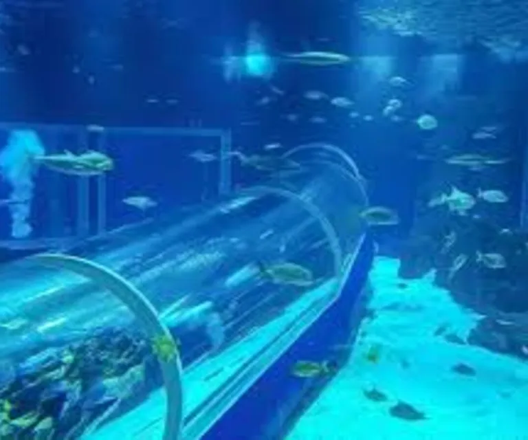 Experience image 12
