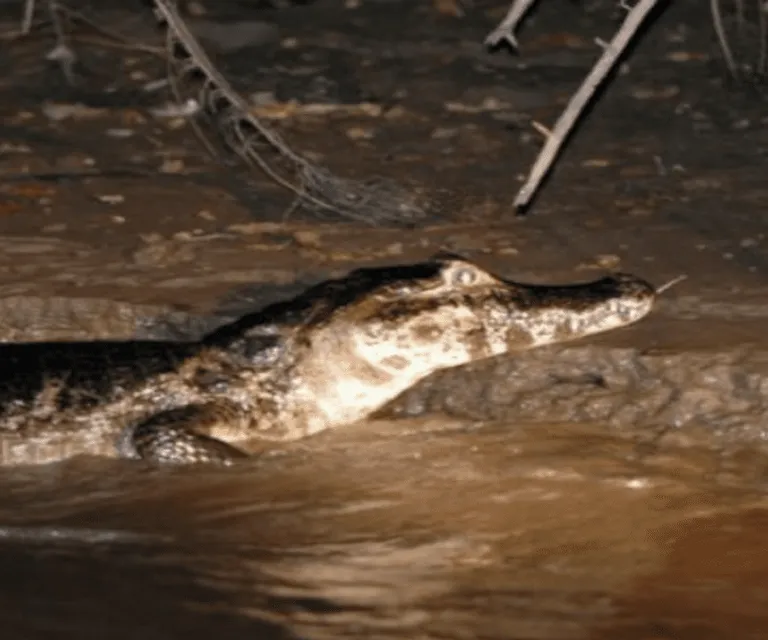 Experience image 9