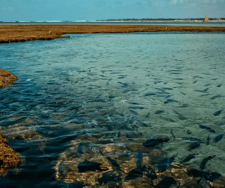 Experience image 11