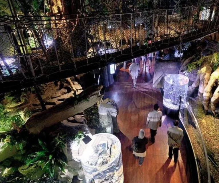 Experience image 3