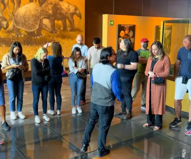 Experience image 15