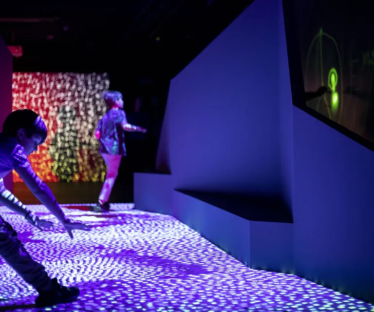 Experience image 16