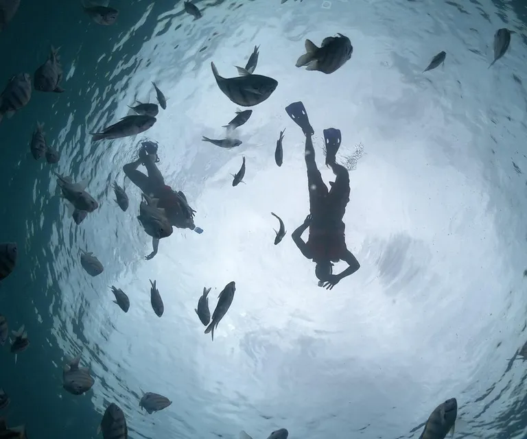 Experience image 22