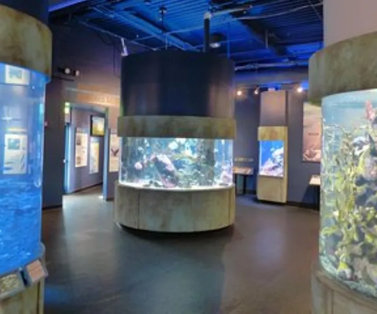 Experience image 6