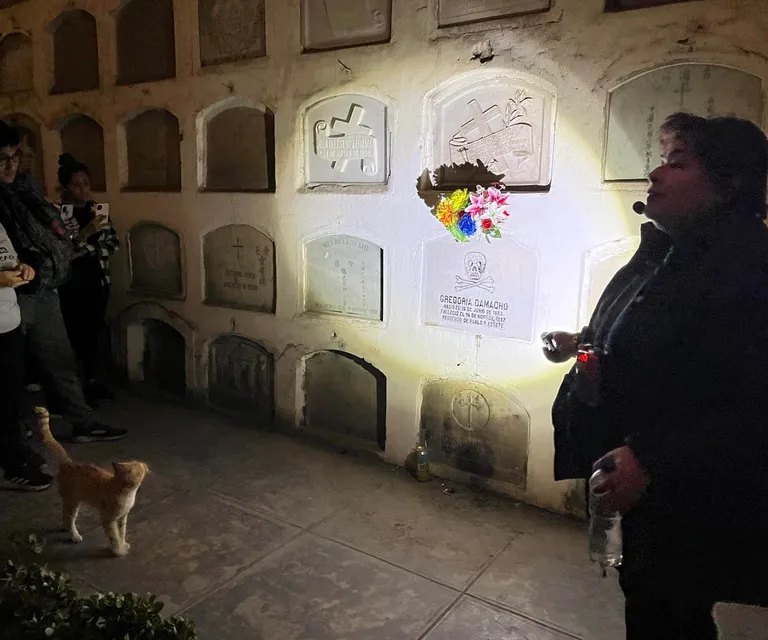 Experience image 3