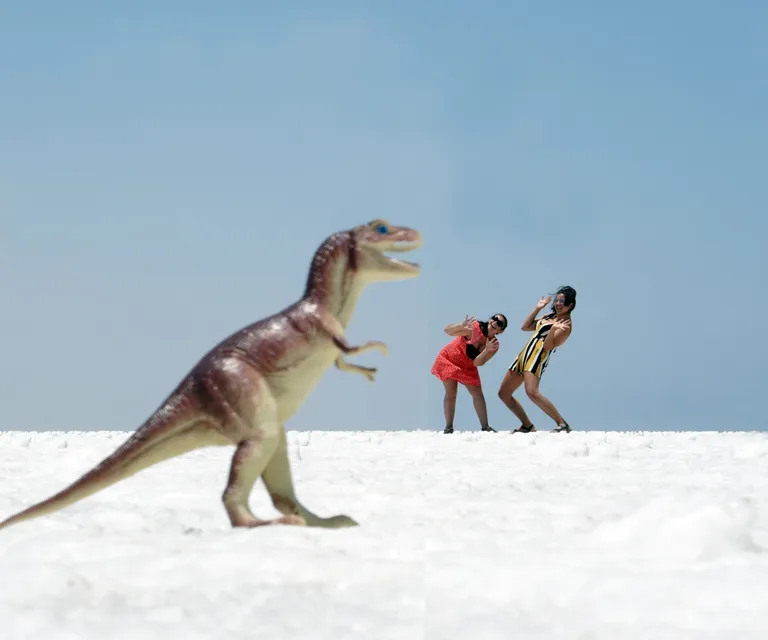 Experience image 5