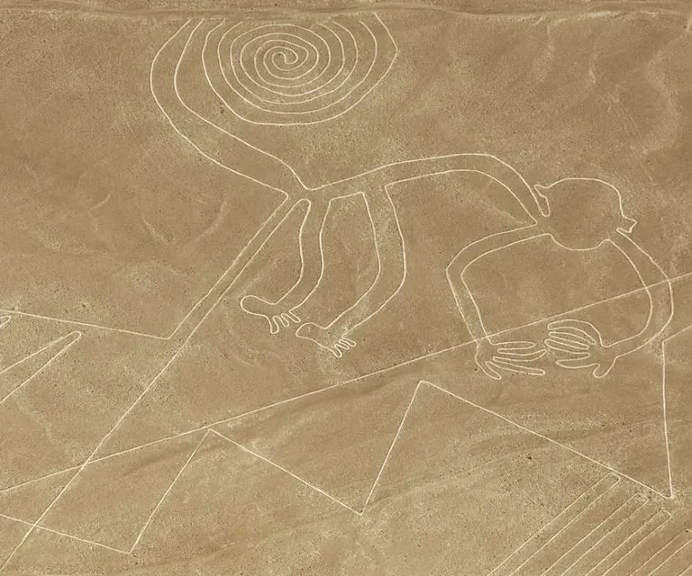 Experience image 7